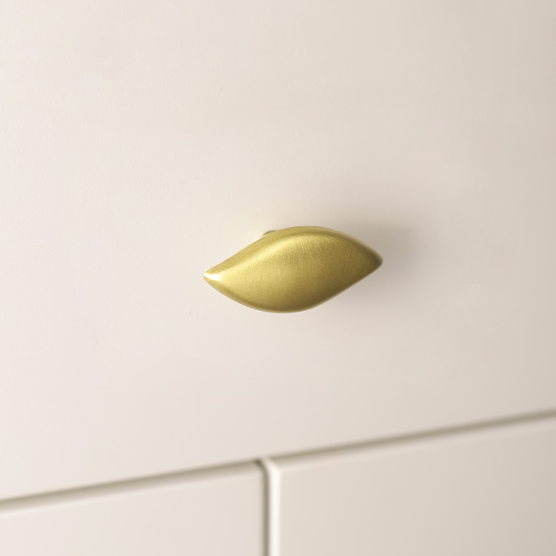 Leaf brass pull detail